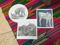 Nettie Rickerson Asst Stickers