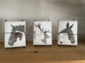 Assorted Note Cards by: Netti Rickerson