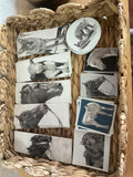Stickers By: Netti Rickerson