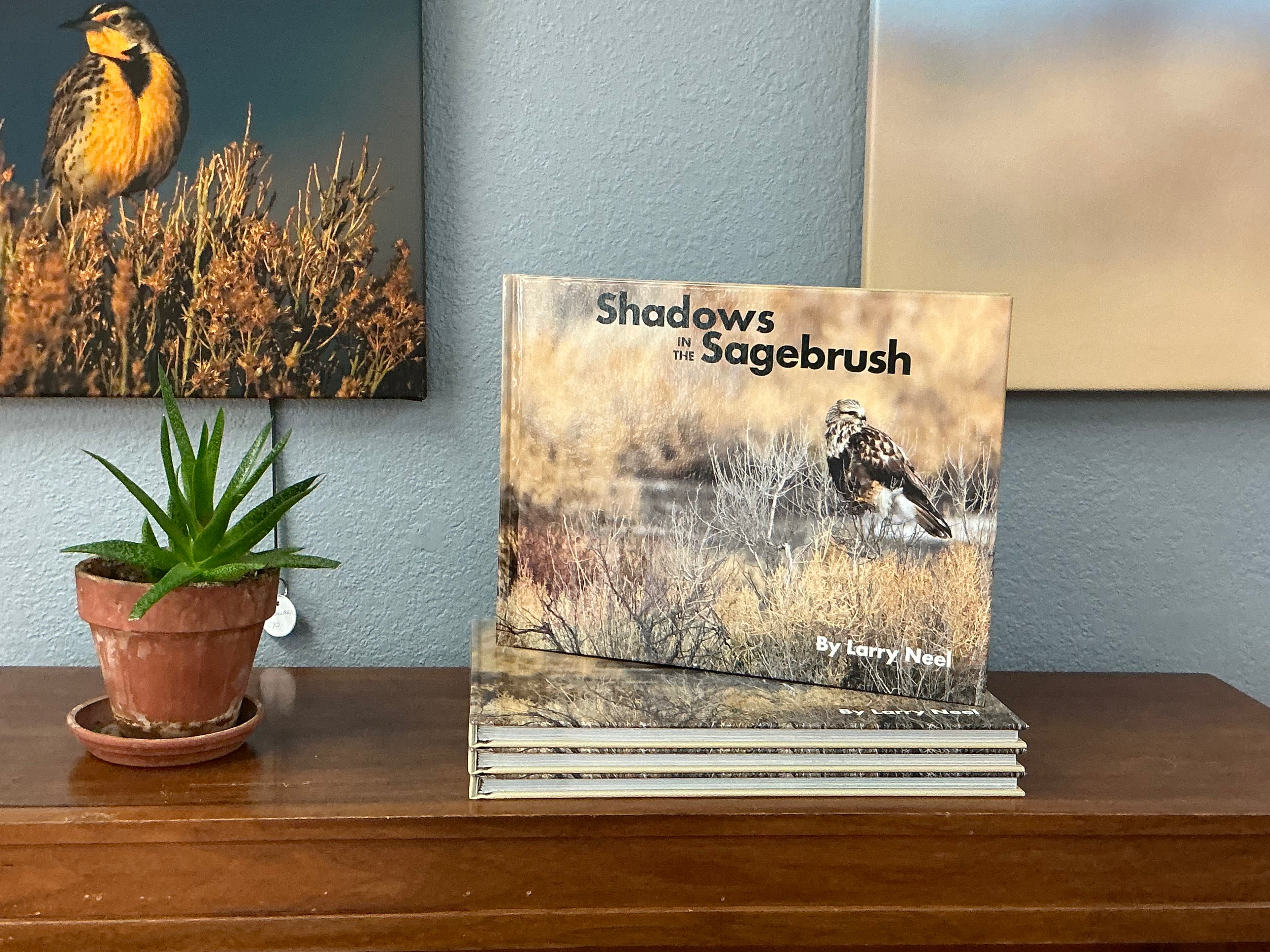 Shadows in the Sagebrush