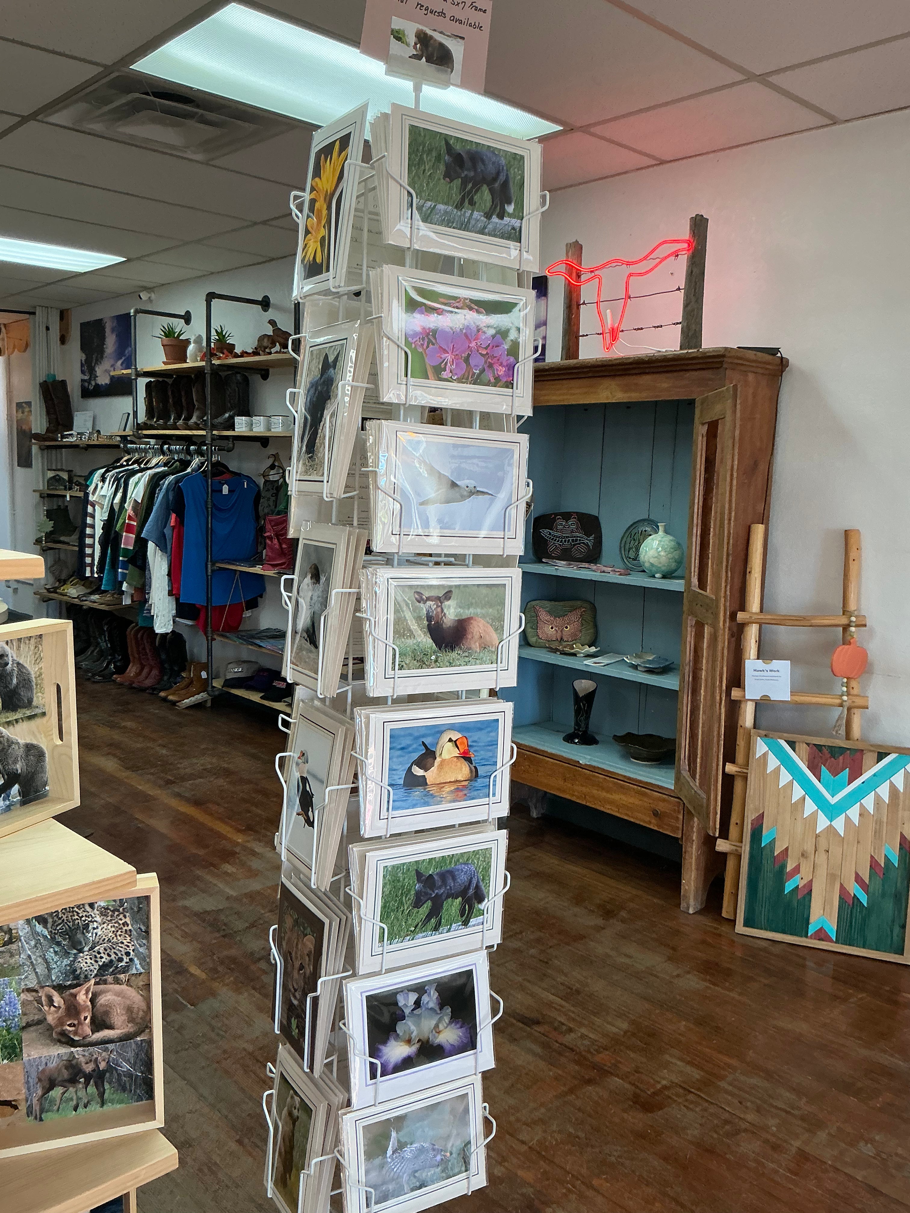 Vella Torvick Wildlife Photography Photocards