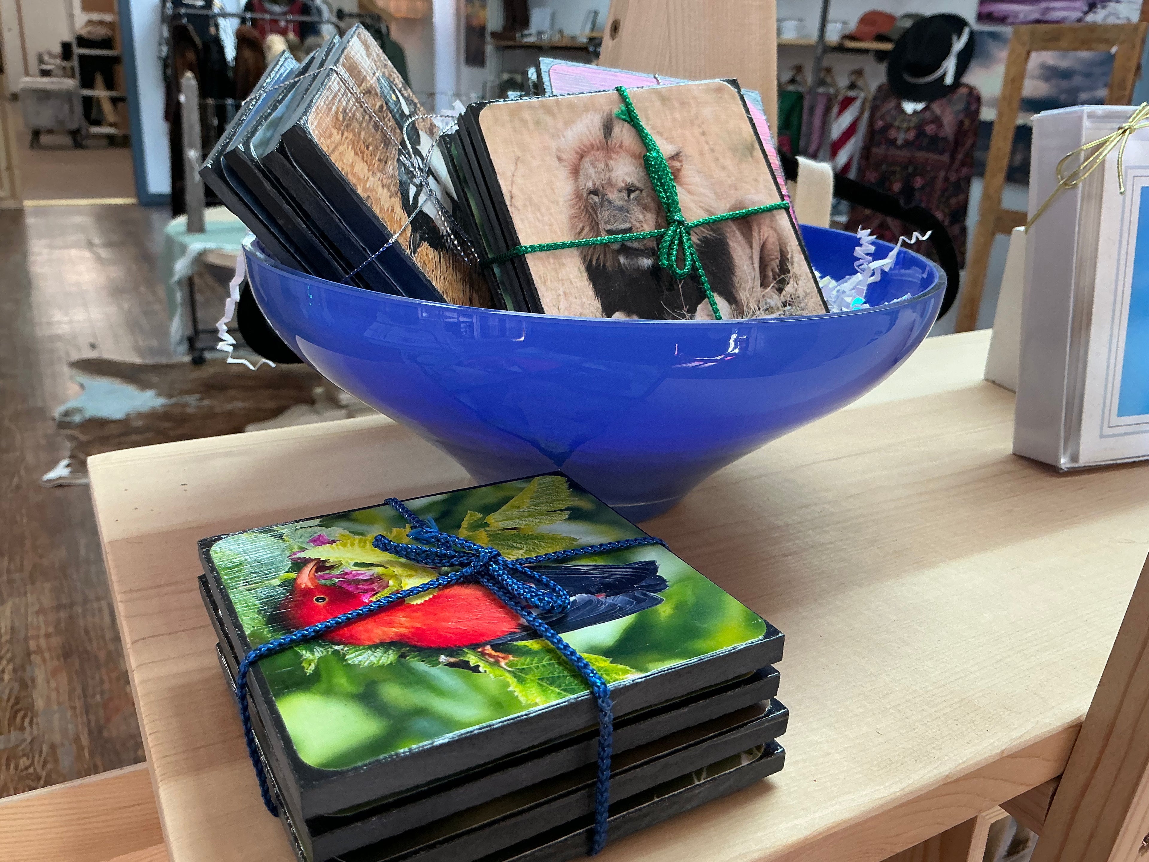 Vella Torvick Photography Coasters